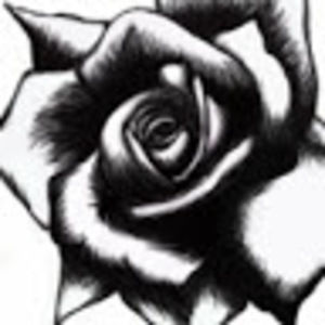 Meet your Posher, Exavier